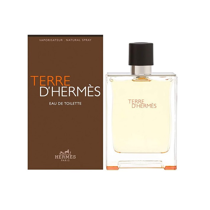 Hermes Terre D' Hermes EDT 100 ml