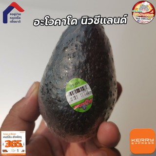 อะโวคาโด นำเข้าจาก NewZealand  พรีเมี่ยม​ อโวคาโด นิวซีแลนด์ Avocado)ราคาต่อ 1 ลูก​