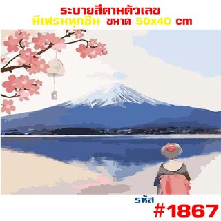 รูปวาด1867 ขึงเฟรมไม้ HOME DIY สินค้าอยู่ไทยพร้อมส่ง ภาพระบายสีตามตัวเลข ขนาด40x50cm ขึงเฟรมไม้!! jr_gadget