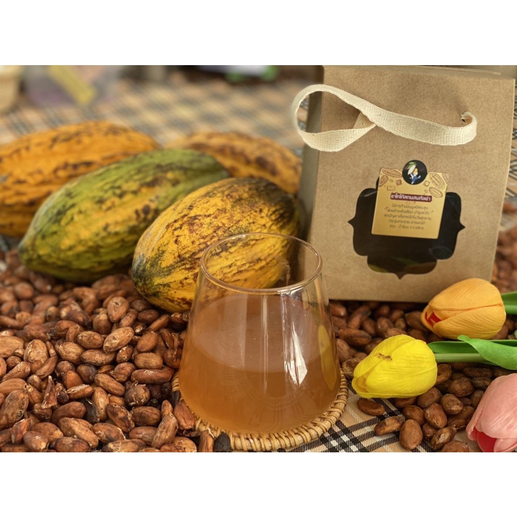 ชาโกโก้ผสมถังเช่า Cocoa Tea ไร้น้ำตาล แคลต่ำ ลดน้ำหนัก ทานแล้วอารมณ์ดี 