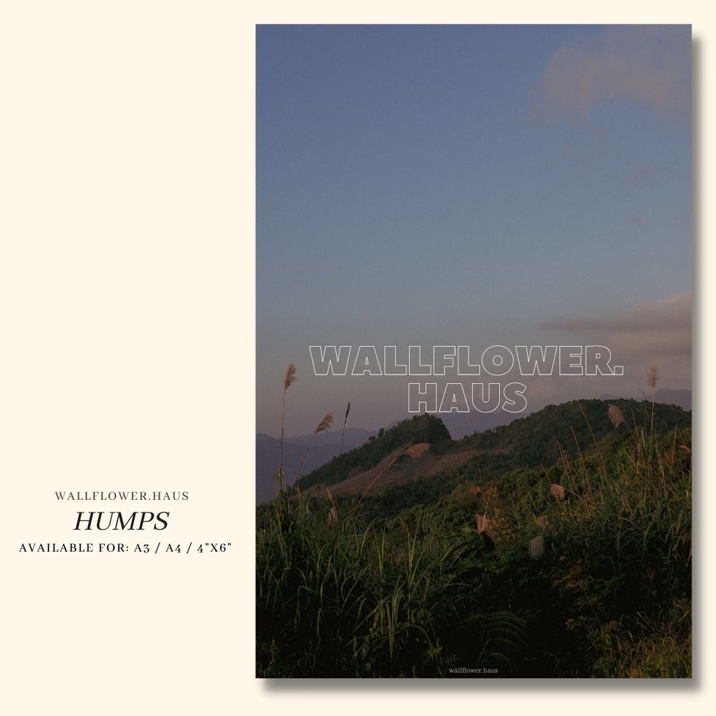 โปสเตอร์ โปสการ์ดแต่งห้อง A3/A4/4”x6” “NN05-Hump" แต่งห้องโทนธรรมชาติ คุณภาพดี - wallflower.haus
