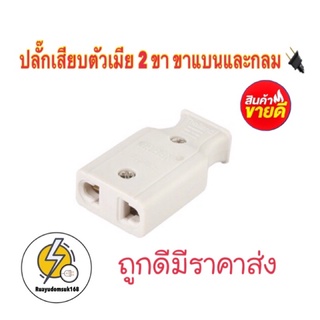 ปลั๊กเสียบปลั๊กตัวเมีย 2 ขา ขาแบนและกลม มีราคาส่ง