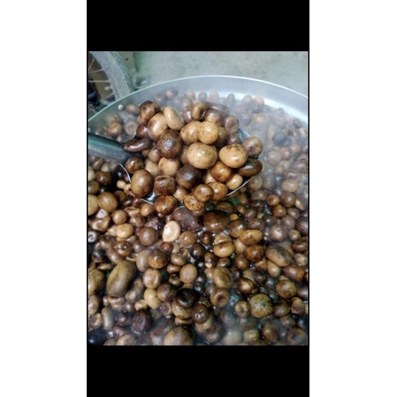 เห็ดเผาะหนังต้ม อ่อนๆ