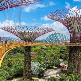 บัตร OCBC SKYWAY [Gardensbythebay]
