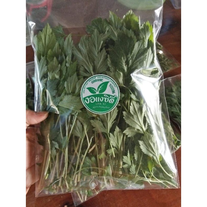 #จิงจูฉ่ายปลูกแบบOrganicแท้100%ปริมาณ 150 กรัม