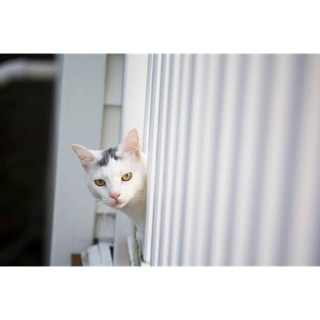 Profile ploysaya