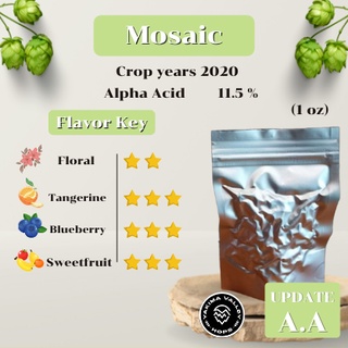 Mosaic Hops (1oz)  Crop years 2020 (บรรจุด้วยระบบสูญญากาศ)