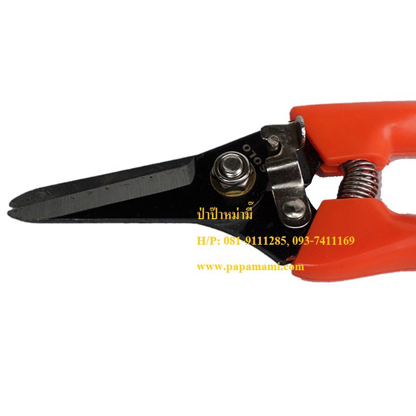 (1อัน) กรรไกรตัดกิ่งไม้ SOLO 213 ปากตรง ยาว 7นิ้ว papamami Pruning Shears กรรไกรตัดแต่งกิ่ง คีมตัดกิ่ง ที่ตัดกิ่งไม้