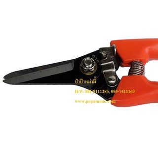 (2-6อัน) กรรไกรตัดกิ่งไม้ SOLO 213 ปากตรง ยาว 7นิ้ว papamami Pruning Shears กรรไกรตัดแต่งกิ่ง คีมตัดกิ่ง