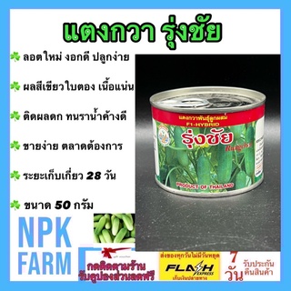 แตงกวารุ่งชัย ขนาด 50 กรัม เมล็ดพันธุ์ แตงกวา ลอตใหม่ ผลสีเขียวใบตอง เนื้อแน่น น้ำหนักดี ทรงกระบอก ผลยาว 10-12 ซม.