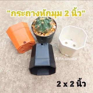 กระถาง 2 นิ้ว หักมุม // กด 100 ใบ 200฿ -- 8 เหลี่ยม หักมุม -- กระถางแคคตัส กระบองเพชร กระถางพลาสติก