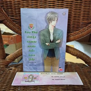 เจ้าหญิงจอมแสบแอบชิงหัวใจนักบินขี้เบื่อ (ปกสวม) ราคา 90 บาท
