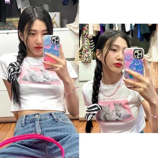 Red Velvet Joy  เสื้อยืดครอปท็อป ผ้าฝ้าย และผ้ากํามะหยี่ พิมพ์ลายแมวน่ารัก สีแดง สไตล์เกาหลี วินเทจ สําหรับผู้หญิง