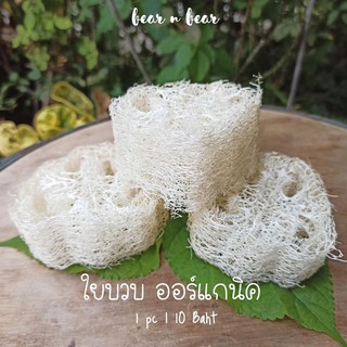 ใยบวบธรรมชาติ 🌿 ใช้ลับฟัน ขนมแฮมเตอร์ ชินชิล่า เดกู กระต่าย ปลอดภัย ไร้สารพิษ