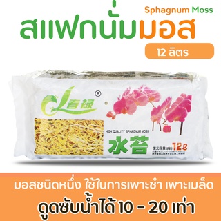 สแฟกนั่มมอส 12 ลิตร Sphagnum Moss วัสดุปลูกพรีเมี่ยม นำเข้า ใช้เพาะชำ ผสมดินปลูก รากเดินเร็ว