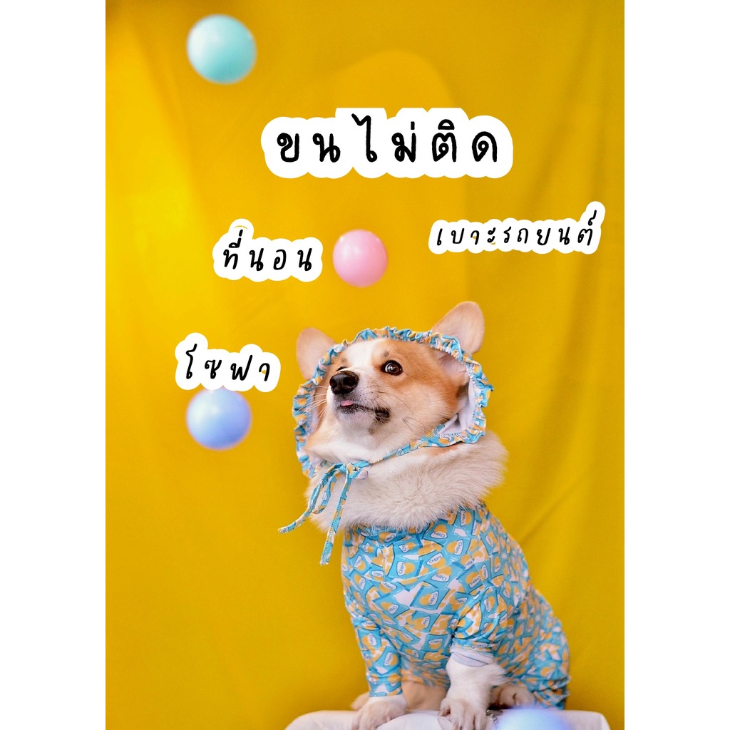 Daddy dog ชุดกันขนร่วง ใช้ได้ทั้งสุนัขและแมว แบบสุ่มสีสุ่มลาย ชุดกันขนร่วงหมา ชุดกันขนร่วงแมว