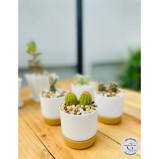 กระถางมินิมอล มีจานรอง กระถางรดน้ำอัตโนมัติ แบบ​เก็บ​น้ำ​ได้​ กระถางรดน้ำต้นไม้อัตโนมัติ ตกแต่งร้าน กระถางต้นไม้