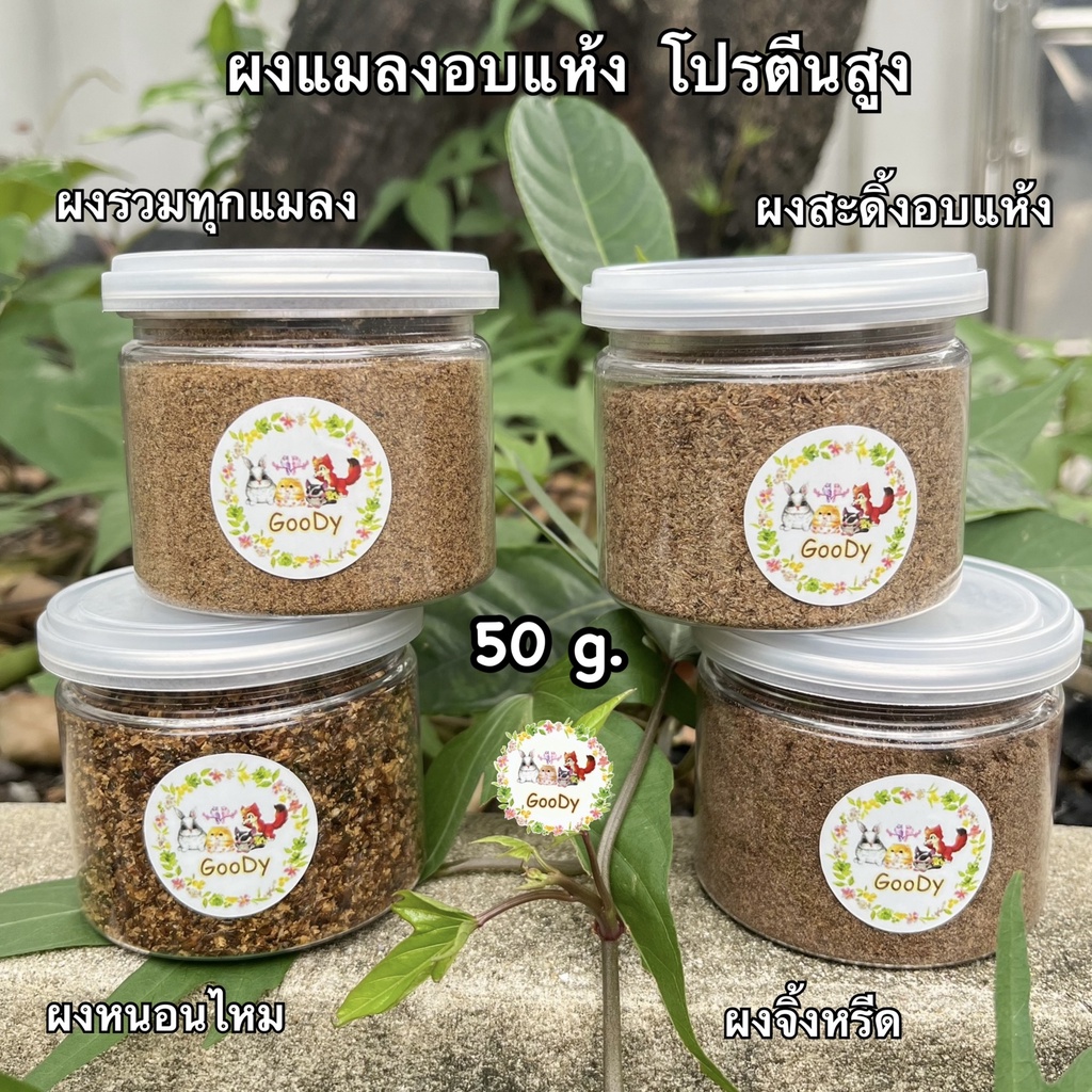 ผงแมลงอบแห้ง 50 กรัม/g. โปรตีนสูง Dried bugs powder. High protein for Animal