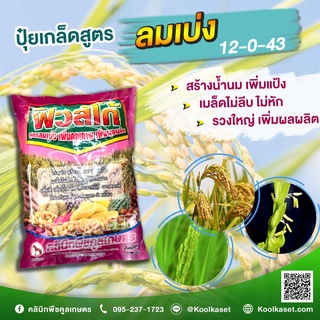 ปุ๋ยเกล็ดสูตรลมเบ่ง 1 กิโลกรัม ช่วยสร้างน้ำนม เพิ่มแป้ง เมล็ดไม่รีบ เมล็ดเต่งตึง รวงใหญ่ ลงหัว ผลโต คูลเกษตร KK224