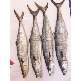 ปลาอินทรีย์เค็มหอม แบบเป็นตัวตัวละ 1000 กรัม - 500 กรัม กิโลกรัม ละ 450 บาท จากเรือของเราเอง ทะเลอ่าวไทย