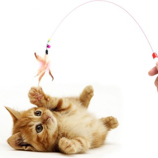 🐾Hi Pet🐾 ของเล่นแมว ของเล่นสัตว์เลี้ยง ขนนก ด้ามจับสีขาว pet toy Cat and dog toy Funny cat