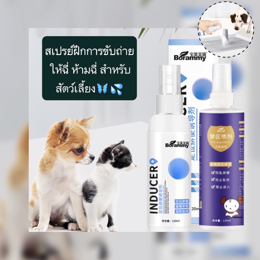 ซื้อ AL-356 สเปรย์ฝึกการขับถ่าย ให้ฉี่ ห้ามฉี่ สำหรับสัตว์เลี้ยง สุนัข หมา แมว ปลอดภัยไร้สารตกค้าง ราคาถูก พร้อมส่ง🐶🐱