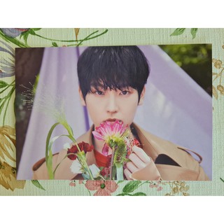 [พร้อมส่ง] โปสการ์ดปฏิทิน อินซอง Inseong SF9 2021 Seasons Greetings Blooming Time Postcard Calendar