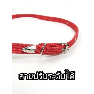 ขลุมวัว ขลุมจูงวัว เหม่าวัว อย่างหนา สแตนเลสอย่างดี เชือกสนตะพาย เม่า สายจูง ปรับความยาวได้