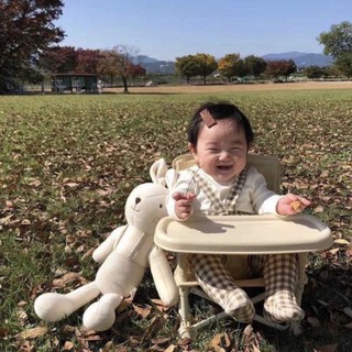 Baby camping chair เก้าอี้ปิกนิค เก้าอี้พับได้สำหรับเด็ก