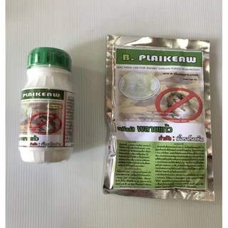 บาซิลลัส พลายแก้ว B.PLAIKEAW กำจัดเชื้อราโรคเห็ด