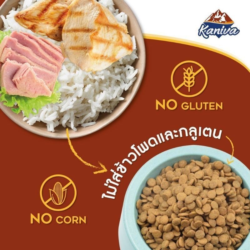 Kaniva Cat 10kg อาหารแมวสูตรเนื้อไก่ ปลาทูน่า และข้าว บำรุงผิวหนังและขน สำหรับลูกแมว และแมวโต