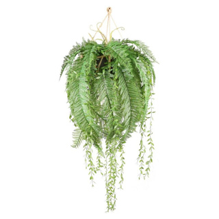 ที่สุด✅  กระเช้าเฟิร์นประดิษฐ์  TY-H01 ARTIFICIAL FERN WITH HANGING BASKET SPRING TY-H01 สินค้าคุณภาพสูง