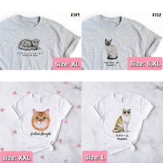 เสื้อยืดสกรีน ลายน้องแมว🐱🐱🐱