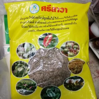 หินภูเขาไฟ ศรีลาวา ปลูกต้นไม้ 1 kg #หินภูเขาไฟเบอร์00