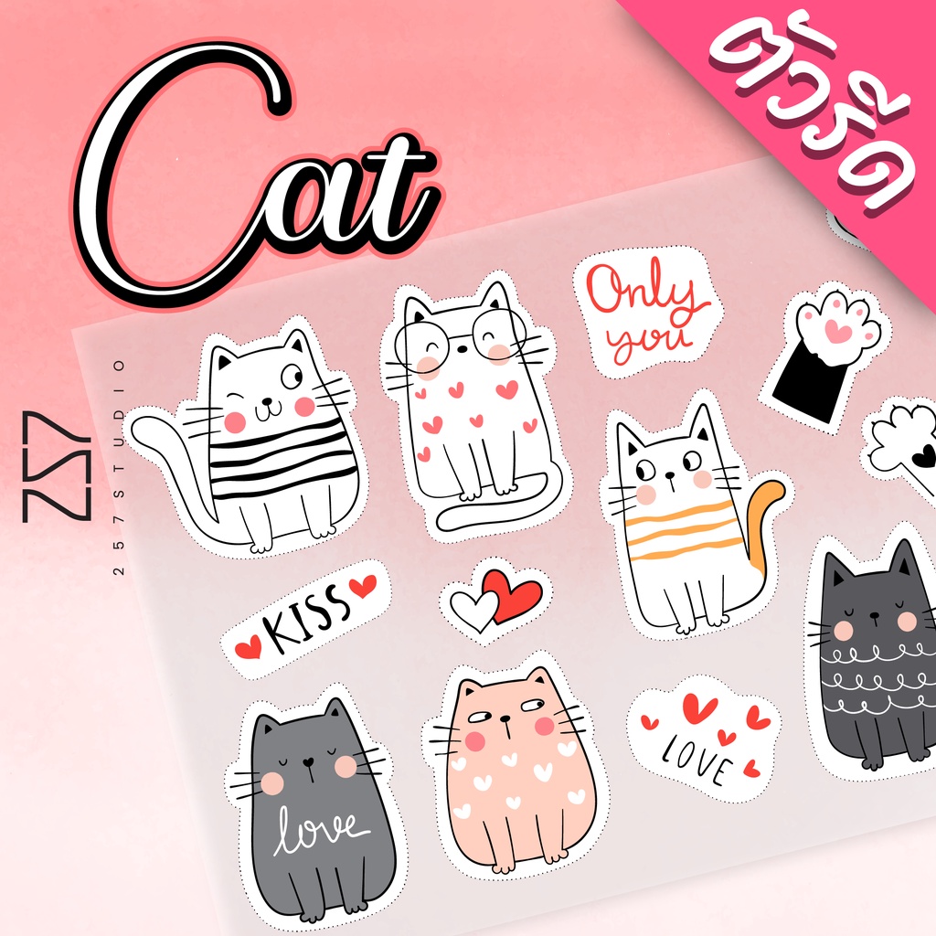ตัวรีด Cat แมว น่ารัก ติดเสื้อผ้า กระเป๋า DFT รีดด้วยเตารีดได้ No.019