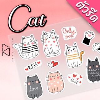 ตัวรีด Cat แมว น่ารัก ติดเสื้อผ้า กระเป๋า DFT รีดด้วยเตารีดไ…