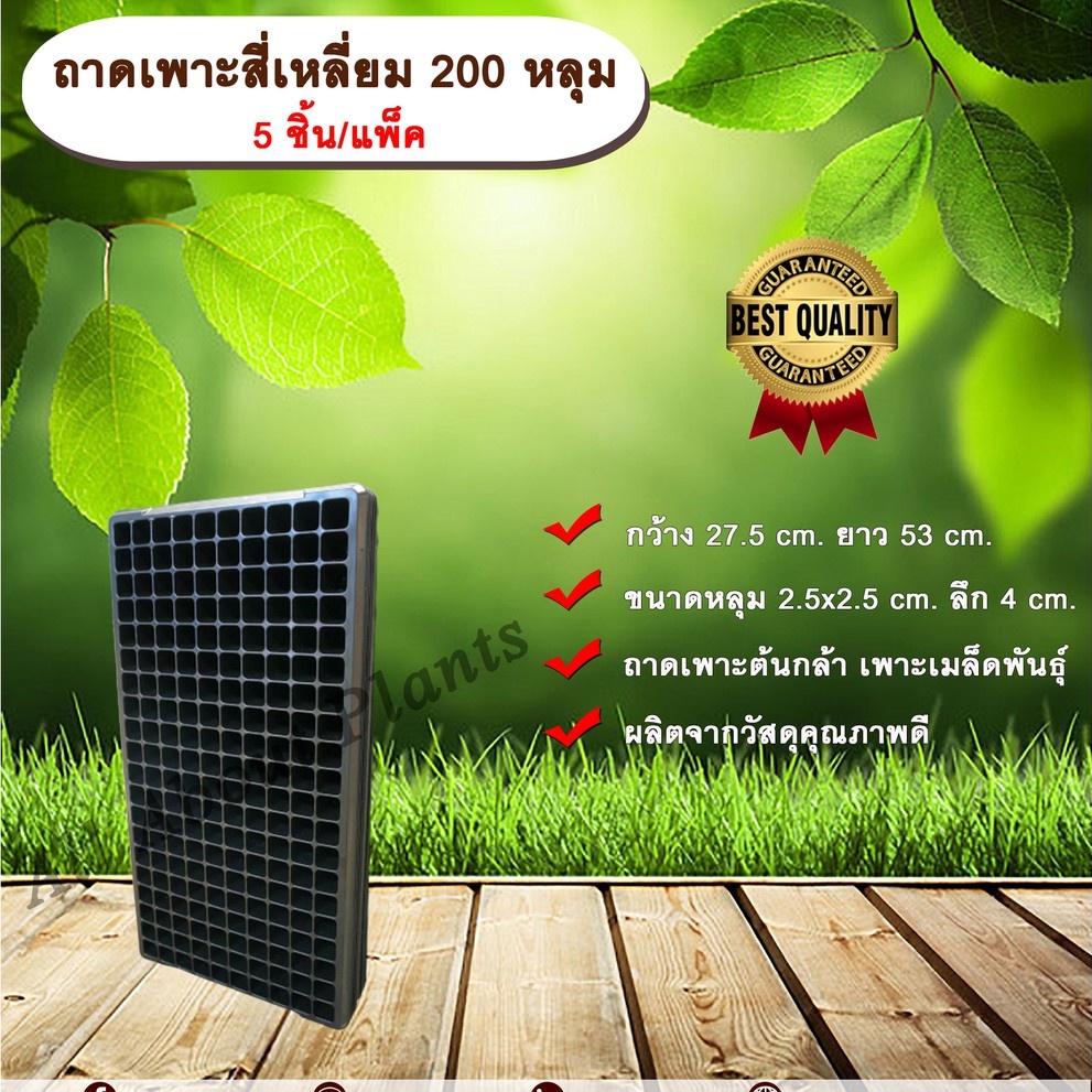 ถาดเพาะสี่เหลี่ยม 200 หลุม (5ชิ้น/แพ็ค) ถาดเพาะต้นกล้า ถาดเพาะเมล็ดพันธุ์ ขนาด 200 หลุม แบบสี่เหลี่ย