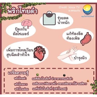 พริกไทยดำผง 500 กรัม 189 บาท < ราคาส่งสอบถาม > / ลดน้ำหนัก กระตุ้นการย่อยอาหาร ป้องกันมะเร็ง ผิวสวย พริกไทย ผงพริกไทยดำ