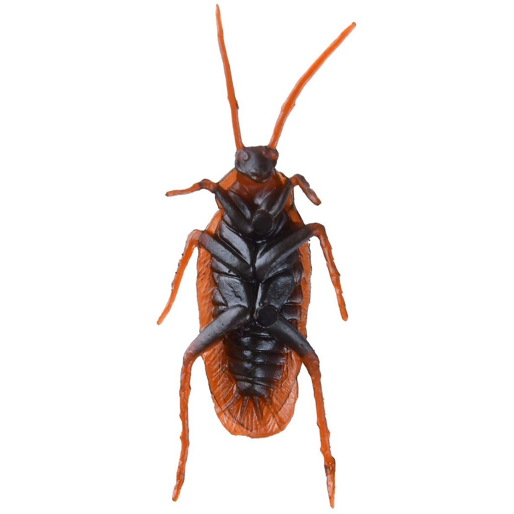 แมลงสาบปลอม - Fake Cockroaches Toys
