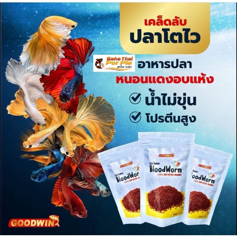 🥰สินค้าขายดี GOODWIN BLOODWORMอาหารปลาหนอนแดงอบแห้ง 💥New! ปลากัด ปลาหางนกยูง ปลาหมอสี ปอมปาดัวร์ น้ำไม่ขุ่น โปรตีนสูง