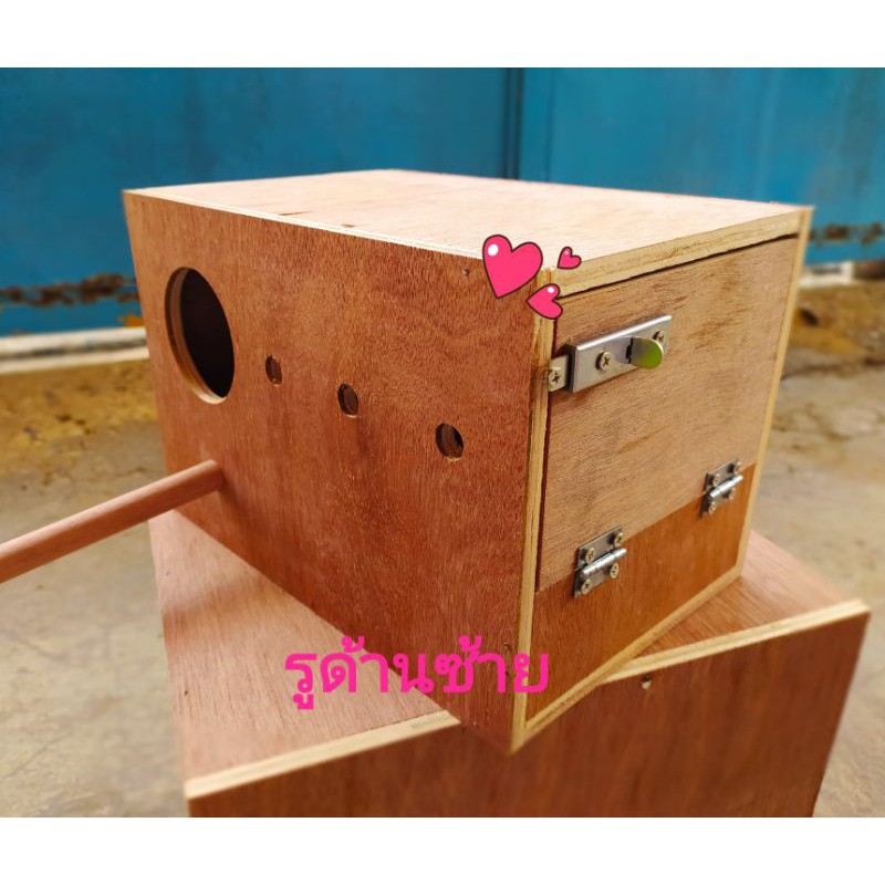 กล่องเพาะนกลังนก4แบบบ้านนกบ้านหนูบ้านกระรอกชูก้า🌟ส่งจริง
