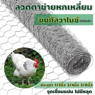 (เกรดA+)ตาข่ายลวดหกเหลี่ยม ชุบกัลวาไนซ์ ช่องตา 1/2" 3/4" 3/8" ตาข่ายกรงไก่ ตะแกรงกรงนก กรงกระต่าย กันงูได้Coop Hexagonal