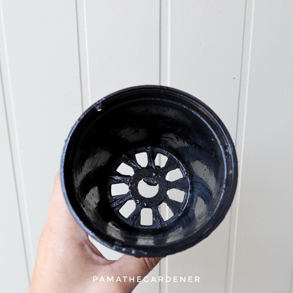 มุมมอง 2