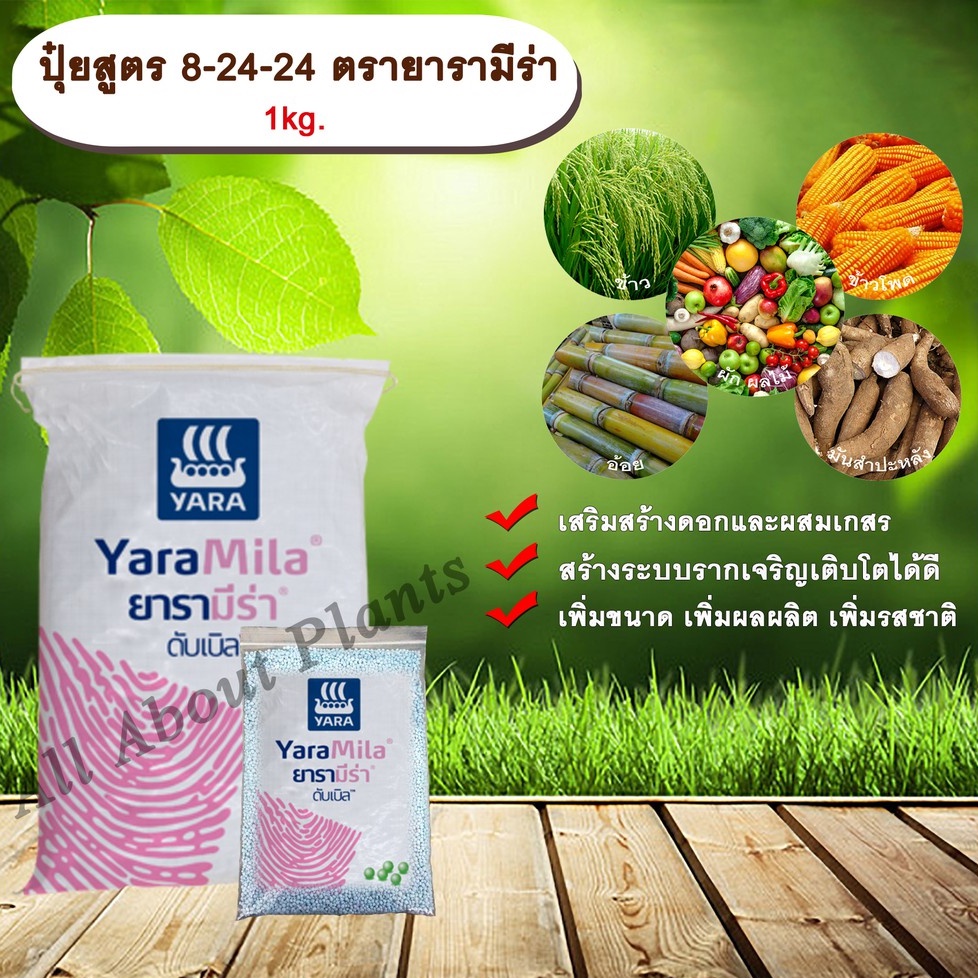 allaboutplants ปุ๋ยสูตร 8-24-24 ตรายารามีร่า 1kg. เสริมสร้างดอก ผสมเกสร สร้างระบบราก รากเจริญเติบโตเพิ่มขนาด เพิ่มผลผลิต