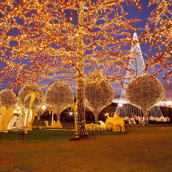 ไฟ led ไฟกระพริบ 100ดวง ไฟตกแต่งห้อง ไฟประดับห้อง ไฟแต่งห้อง ไฟเส้น led ไฟแต่งสวน ไฟตกแต่งห้องนอน ไฟหิ่งห้อย ไฟปีใหม่ - รูปที่ 3