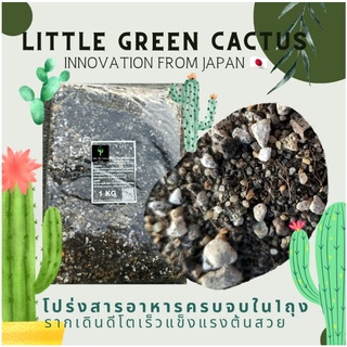 Little Green cactas ดินcactus succulentสูตรนวกรรมญี่ปุ่น