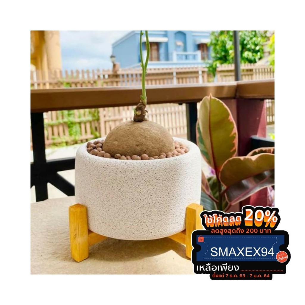 Katombimai กระถางรักษ์โลก กระถางอิฐมวลเบา ทรงA02 พร้อมขาตั้งไม้ #กระถาง #กระถางกระบองเพชร