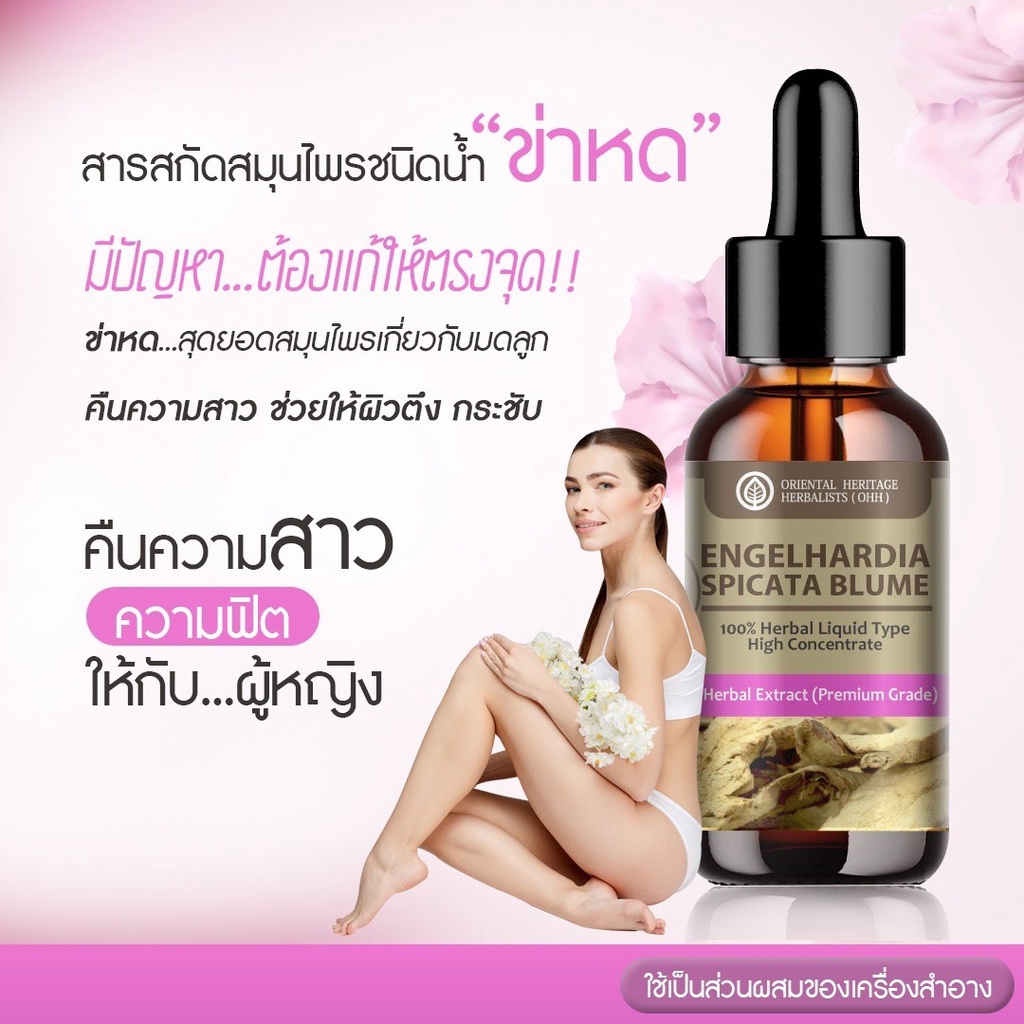 สารสกัดสมุนไพร ข่าหด (Engelhardia Spicata Blume) เข้มข้นสูง ชนิดน้ำ ขนาด 25 มล. ราคา ถูกที่สุด ดีลบีเคเค แกลเลอรีภาพที่ 2
