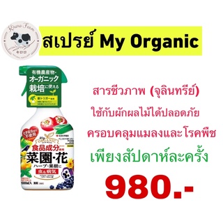 สเปรย์ป้องกันกำจัดแมลงศัตรูพืช มาย ออร์แกนิค My Organic