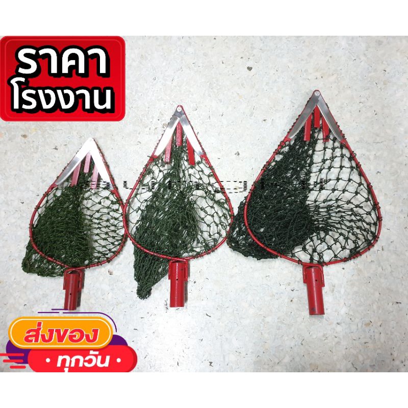 ❗พร้อมส่ง❗ตะกร้อสอยผลไม้ ตะกร้อสอยมะม่วง โครงเหล็ก ใบมีด kiwi คู่ มีตาข่ายรองรับ มี 3 ขนาด #บ้วนบ้านแพ้ว